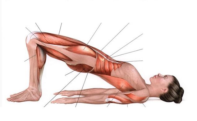 Lifting pelvico per dimagrire