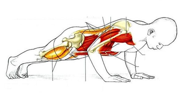 Push-up per perdere peso